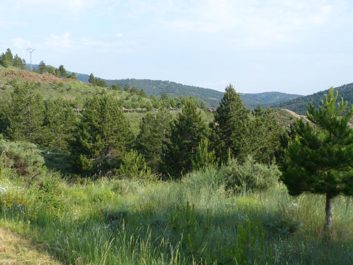 Casa Maria Villarroya 외부 사진